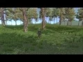 Spherecast Camera Collider