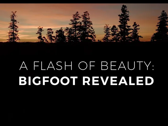 A Flash of Beauty trailer