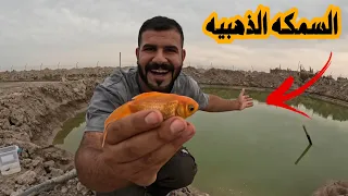 كواجه يقتل ابنه بوحشيه 😭