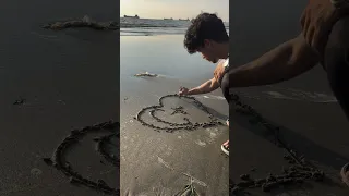 هذه C G ستذيب قلبك قصة حب على الشاطئ في الرمال Shorts Beachart 