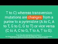 Point Mutations in DNA A Comprehensive Review in Q A format for USMLE Step 1