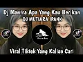 Lagu DJ MANTRA APA YANG KAU BERIKAN || DJ MUTIARA REMIX FULL BASS VIRAL TIK TOK TERBARU ‼️