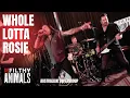 Lagu Whole Lotta Rosie - AC/DC cover by The Filthy Animals