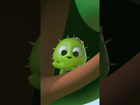 🌳 Tavakkalchi kaktus 🌵