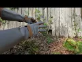 Project Source Rose Pruning Gloves From Lowes use and review