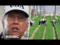 Download Lagu 'We've got a real disaster': Farmers struggle amid rising costs and Trump's tariffs