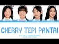 Download Lagu JKT48 Gen 12 - Cherry Tepi Pantai/Nagisa No Cherry (Color Coded Lyrics)