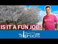 Day in the Life of a TOUR GUIDE Washington DC