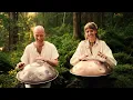 Lagu Inner Spark (1111 Hz) | 1 hour handpan music | Malte Marten \u0026 Changeofcolours