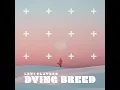 Levi Platero - Fire Water Whiskey