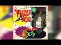 Spragga Benz - Jack It Up [VP LP, 1994]
