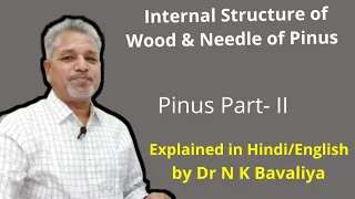 Internal Structure of Wood and Needle of Pinus by Dr N K Bavaliya Govt Science College Sikar