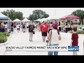 Downtown to Midtown Farmers market settles into new home at Travis Bryan Midtown Park
