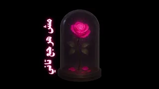                               مش هرجع تاني   هوبا جي أر دندنها