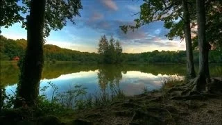 Beautiful Quran Recitation By Idris Abkar Unbelievable Voice I Have Never Heard Before 