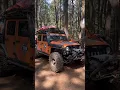 Download Lagu Jeep Rubicon Paling Badak, tapi suara klaksonnya... #offroad #offroadindonesia #jeep #jeeprubicon