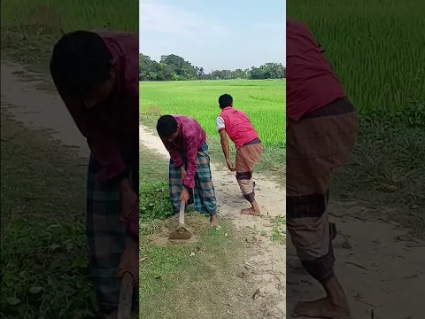 মানুষ মানুষের সঙ্গে কিভাবে এমন করে দেখুন 🤣🤣
