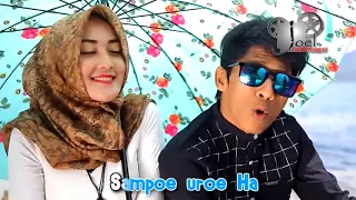 Download Bergek : Boh Hate Ka Meuho Lagu Aceh yang Viral di Lombok MP3