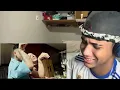 REACT Vem Desestressar - MC PH, Vulgo FK, Veigh (Video Clipe) [OCDM 2]