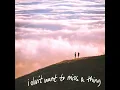 I Don't Want to Miss a Thing