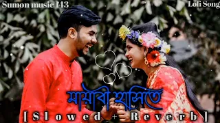 mayabi hasi bangla romantic lofi song 2023
