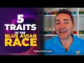 The Blue Avians 5 Traits of these Ancient Beings Plus Signs You Could Be An Avian Starseed