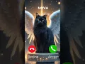 Download Lagu Nova is calling #ai #ringtone #ring #cat #cats #catlover #funny #new#viralshorts