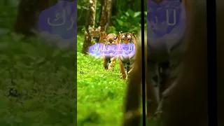 احذر أن تسلم غيرك زمانك حكم اكسبلور خواطر Fyp اقتباسات Viral Motivation Shorts 