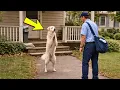 Een wanhopige hond smeekte een postbode om hulp — wat ze daarna aantroffen ontroerde iedereen tot...