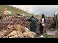 Download Lagu Dengê Xerîbiyê  |  Zozanên Amasyayê
