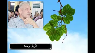 محمد جواد أموري  الريل وحمد   مونتاج   علاء الأديب دندنها