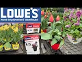 LOWES BEST NEW PLANTSARRIVALS FOR SPRING HOW TO MAKE YOUR GARDEN BEAUTIFUL