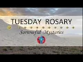 Tuesday Rosary Sorrowful Mysteries of the Rosary Dawn in the Desert