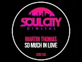 So Much In Love (Extended Mix)