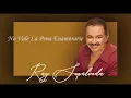 @RaySepulvedaoficial - No Vale La Pena Enamorarse (Audio Oficial)