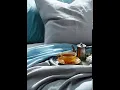 BED GIF