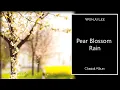 Download Lagu Pear Blossom Rain 梨花雨 (WonJu Lee) Art Song | Piano/Violin Cover