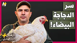 المُخبر الاقتصادي+ | من يسيطر على أشهر دجاجة في العالم؟