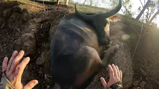 He Was Stuck for Days - Then Two Hands Reached In ❤️