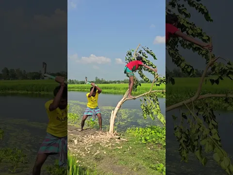 One person climbs up the tree, the other falls down.