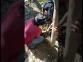 Download Lagu sembelih kambing baiknya dimana? jawab.. di leher lah..