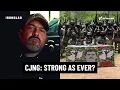 The New Leader of CJNG Revealed Pierre Rausini on the Future of the Jalisco New Generation Cartel