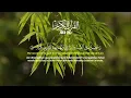 Download Lagu Murotal Merdu Al Quran Merdu Juz 30, Menenangkan Pikiran, Hafalan Juz Amma Mudah - ALAA AQEL