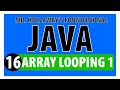 16 - Iterating Through Arrays with For Loops in Java