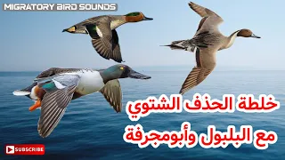 طلباتكم أقوى خلطة للبط تعمل هذه الأيام الحذف الشتوي مع البلبول وأبومجرفة 