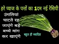 Lagu गारंटी है हरे प्याज के पत्ते की नई रेसिपी पहले न बनाया न खाया होगा l spring onion recipe l mesaheli 