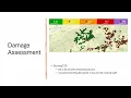 Madison County GIS Support
