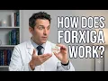 How Does FORXIGA 10 mg Work Inside Your Body