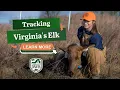 Tracking Virginia Elk with GPS Collars