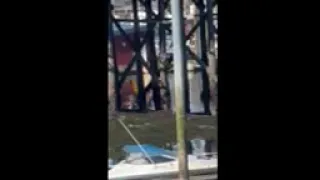 Did I mention the moose 🫎 …